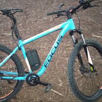Bici elettrica Focus Whistle