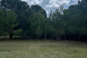 Terreno Marina di Pisticci 700 mt dal mare