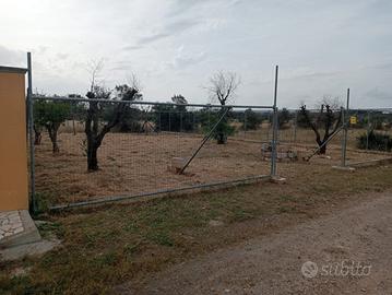 Terreno Torre Lapillo