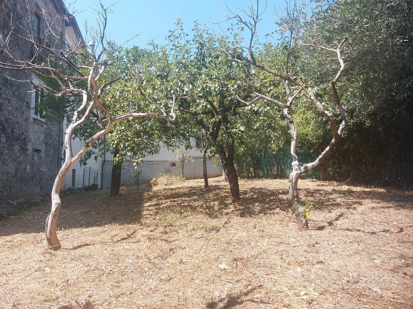 Casa – Torre Orsaia, Salerno - Altro