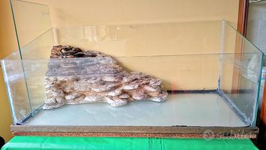  acquario x tartaruga 🐢 ho pesciolini 