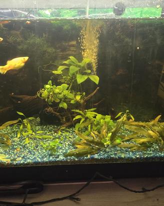 📏 100 cm lunghezza x 30 cm profondità x 40 cm alt
