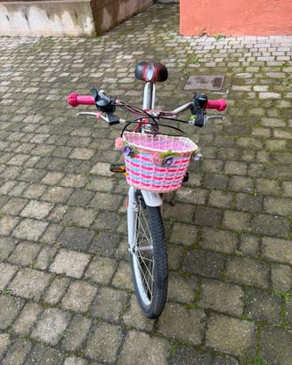 Bicicletta 20 pollici