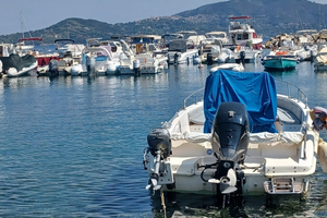 Barca Open Selva 5 mt