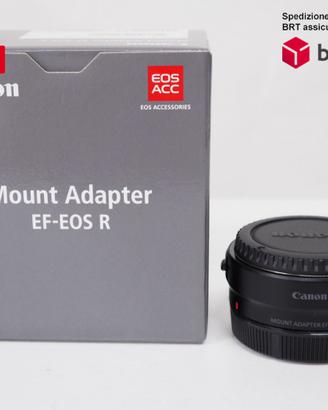 Mount adapter EF-EOS R (Canon)