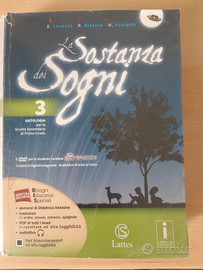 La sostanza dei sogni 3