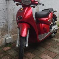 Scuso  anteriore e parafango