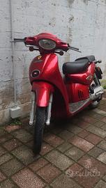 Scuso  anteriore e parafango