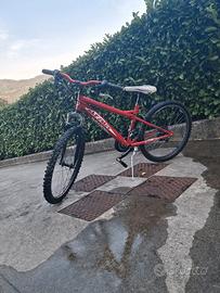 mountain bike Atala