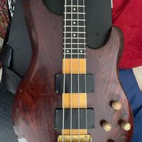 Basso Ibanez Musician