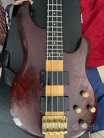 Basso Ibanez Musician