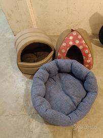 cucce gatto