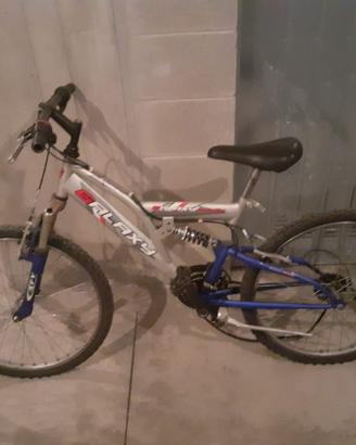 biciclette