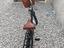 Immagine 4