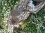 Immagine 6