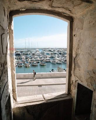 Appartamento - Bisceglie