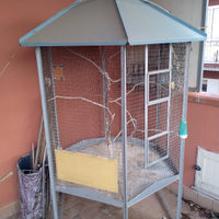 Voliera esagonale per uccelli