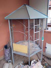 Voliera esagonale per uccelli