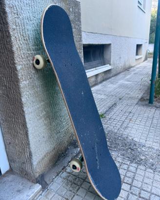 Skate board