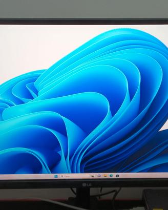 Monitor Ultrawide LG 29