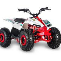 Mini Quad KL Motors Minikolt 110cc 4T