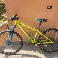 Bici da ragazzo