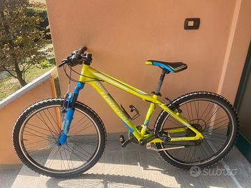 Bici da ragazzo