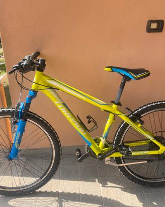 Bici da ragazzo
