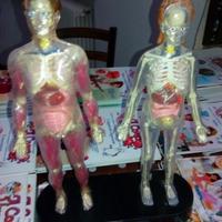 Enciclopedia del corpo umano