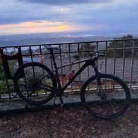 mountain bike 29 telaio  in carbonio M