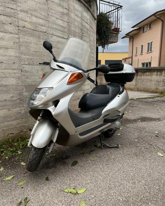 Scooter Honda Foresight 250 (2001) solo 11.892 km