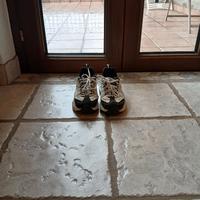 Scarpa da ginnastica donna