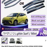 Byd Dolphin Surf deflettori finestrino 
