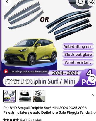 Byd Dolphin Surf deflettori finestrino 
