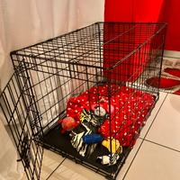 Kennel per cani di piccola media taglia