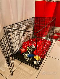 Kennel per cani di piccola media taglia