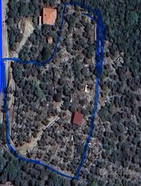 Terreno con uliveto - Sonnino Via Sant' Adamini