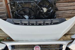Musata fiat ducato 2020