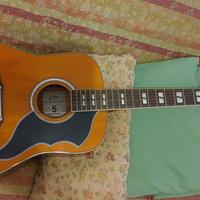 EKO Ranger XII VR EQ Natural Top Stained