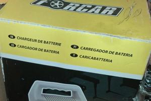 Caricabatterie per batterie da 12 V