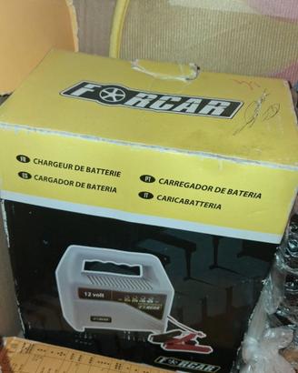 Caricabatterie per batterie da 12 V