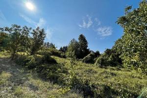 RGE 417/2021 Trib Pavia