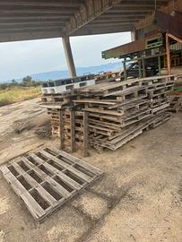 pallet-stock di pedane in legno e plastica/bancali