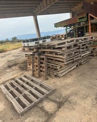 pallet-stock di pedane in legno e plastica/bancali