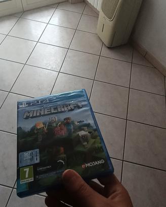 MINECRAFT