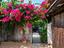 Immagine 20