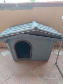 cuccia per cani media taglia