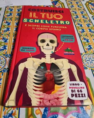 scheletro da costruire 