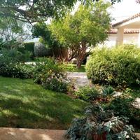 Manutentore giardiniere custode