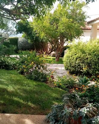 Manutentore giardiniere custode